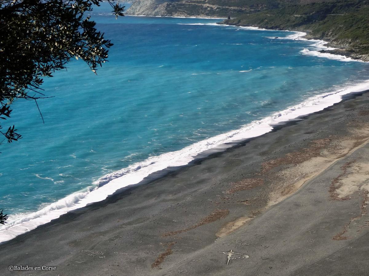 Nonza | Cap Corse Nonza | Cap Corse