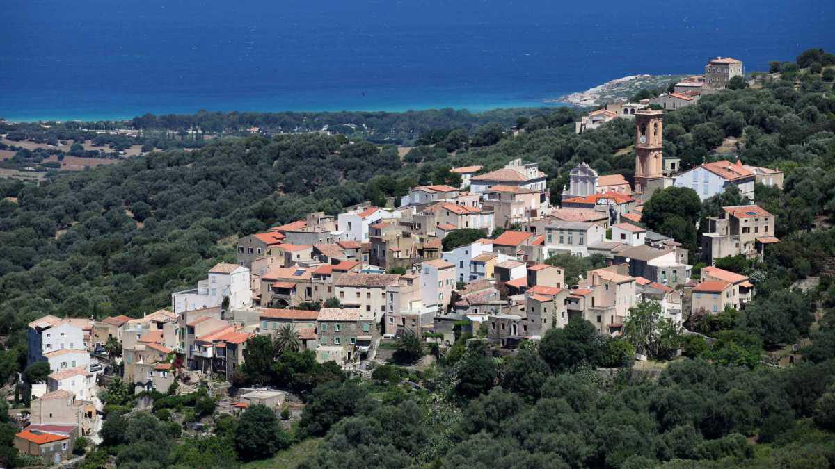 Fiera di l'Amandulu | Aregno | 5 & 6 Août 2023 Fiera di l'Amandulu | Aregno | 5 & 6 Août 2023