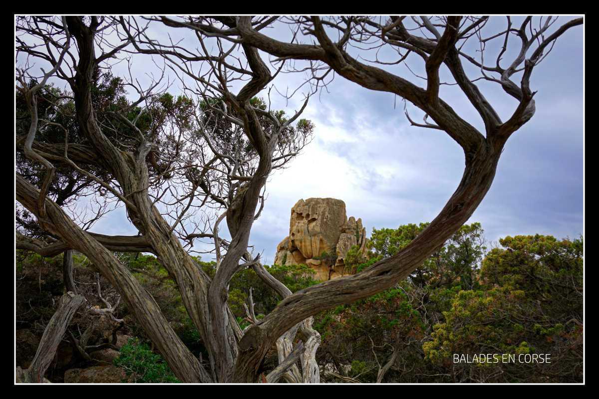 Fanali di Senetosa | Phare de Senetosa Fanali di Senetosa | Phare de Senetosa