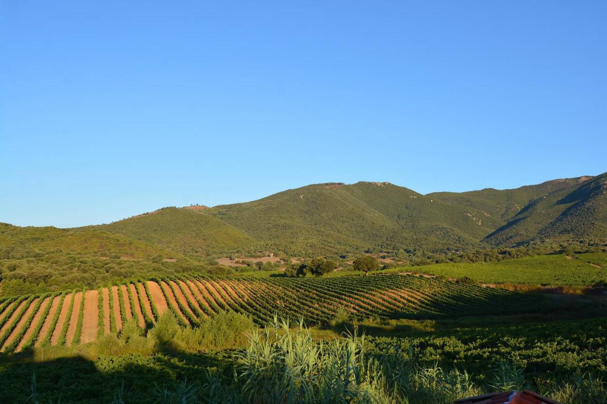 Domaine Pratavone | Ajaccio Domaine Pratavone | Ajaccio