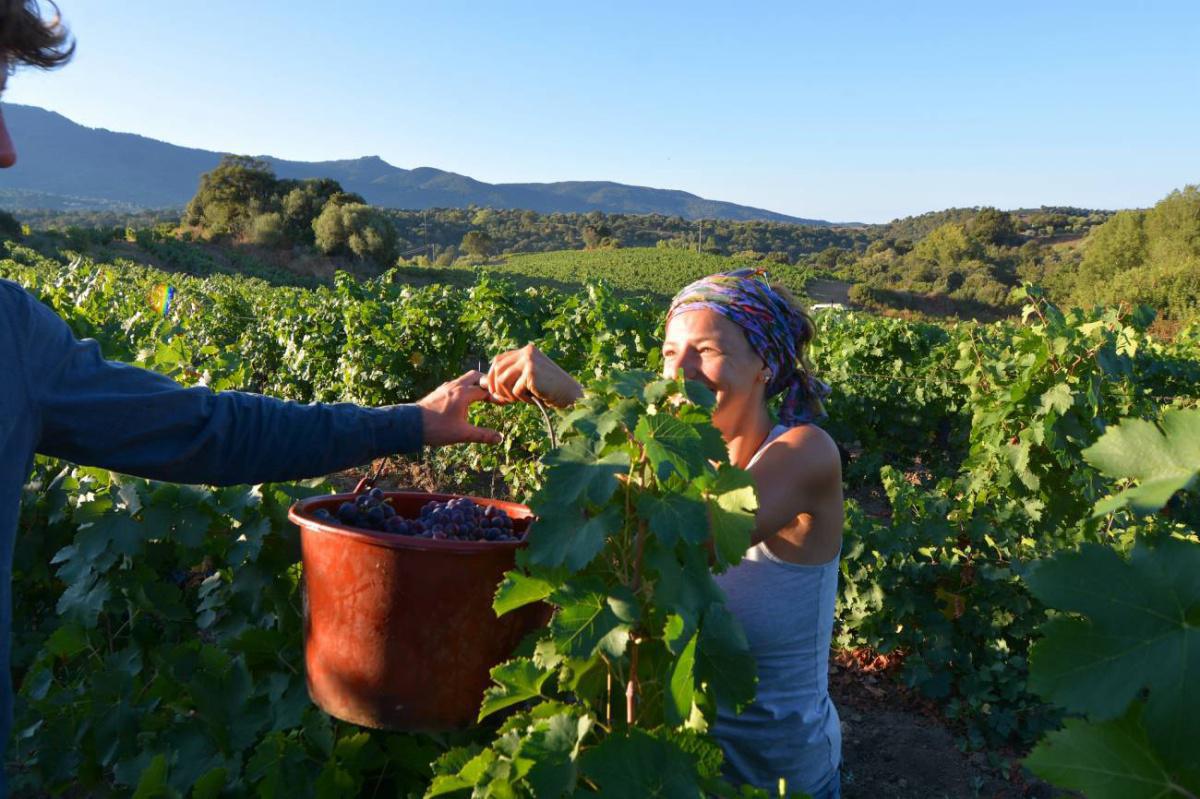 Domaine Pratavone | Ajaccio Domaine Pratavone | Ajaccio