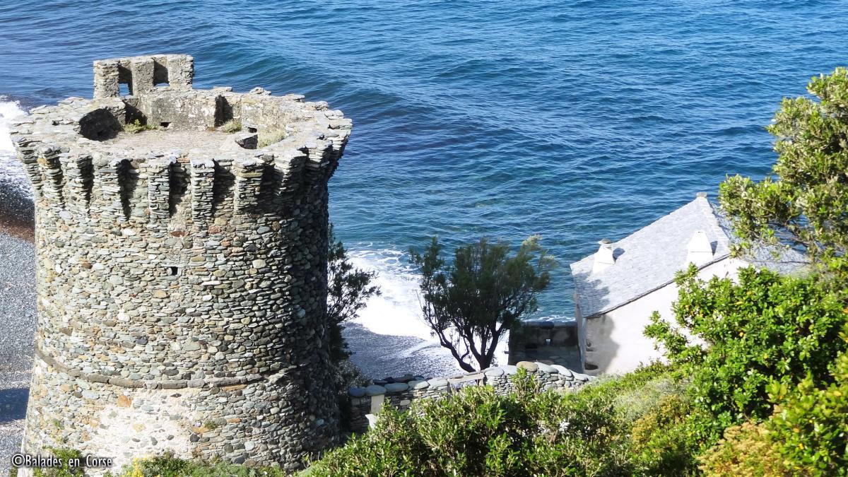 La Marine de Negru | Olmeta di Capocorso La Marine de Negru | Olmeta di Capocorso