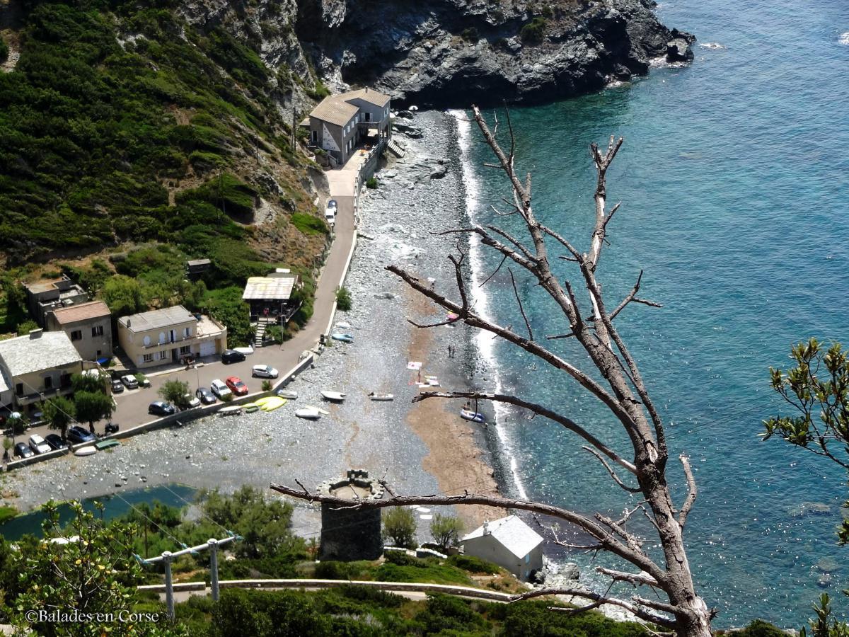 La Marine de Negru | Olmeta di Capocorso La Marine de Negru | Olmeta di Capocorso