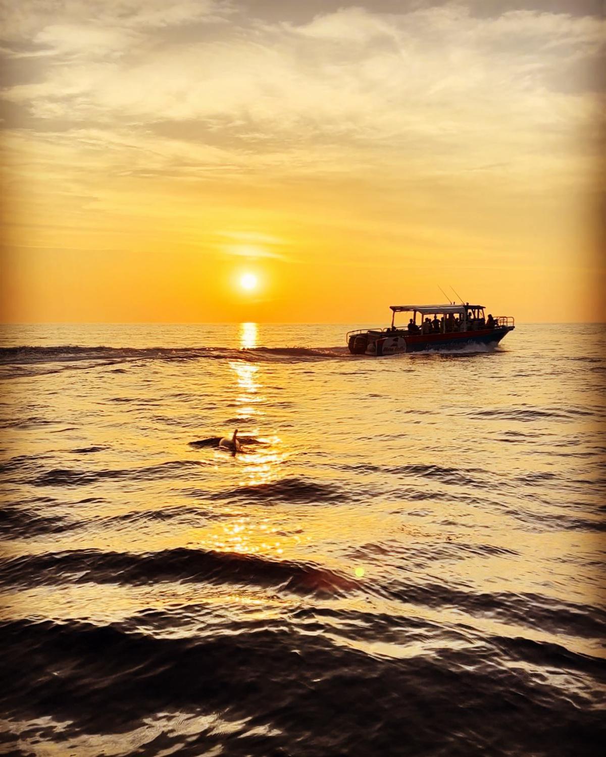 Promenades en mer | Mare Bellu Promenades en mer | Mare Bellu