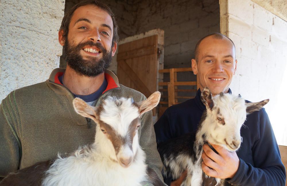 Clément Piani | Fromage Fermier de Chèvre - Brocciu AOP