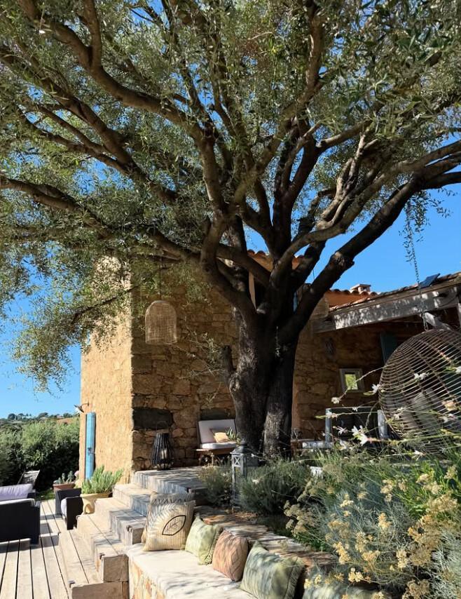 Bergerie de l'Alivettu