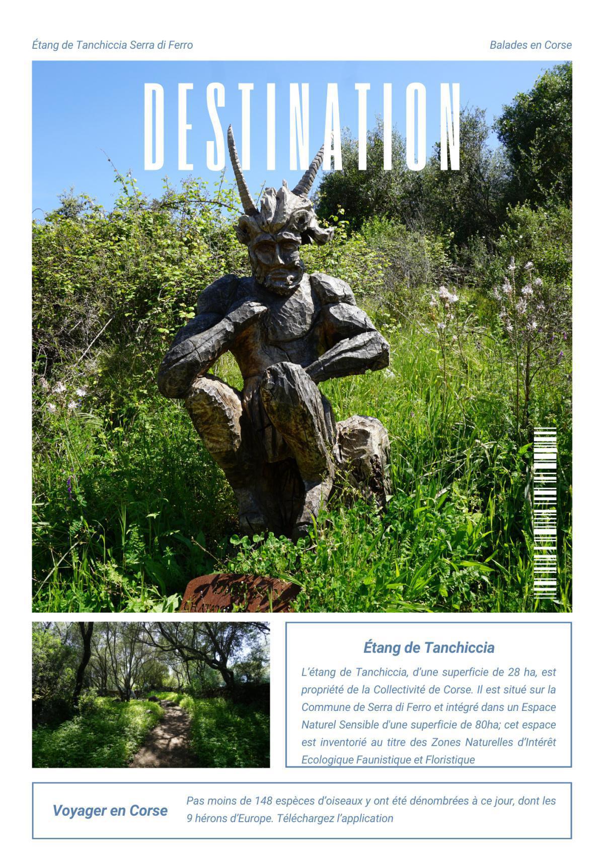 Étang de Tanchiccia Étang de Tanchiccia