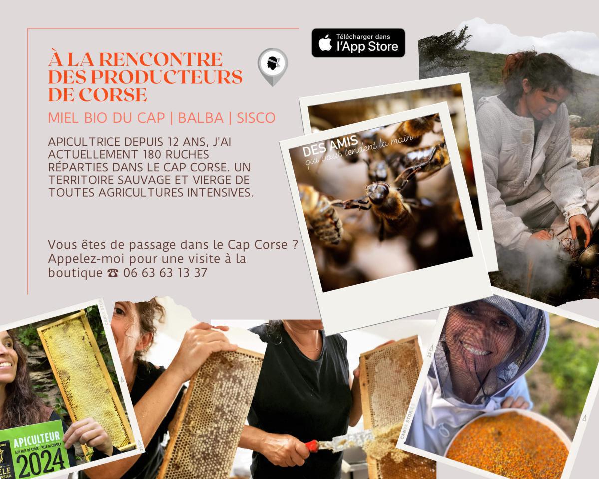 Productrices du Cap Corse | Visites & dégustations Productrices du Cap Corse | Visites & dégustations