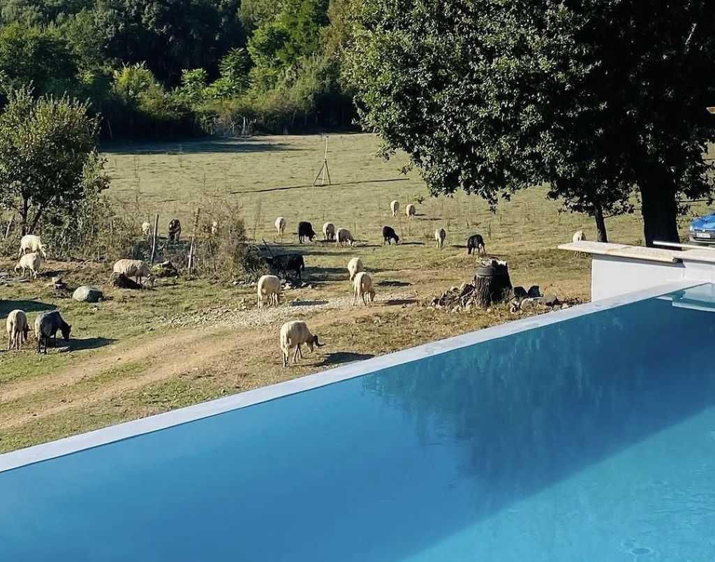 Camping à la ferme | Boziu Camping à la ferme | Boziu