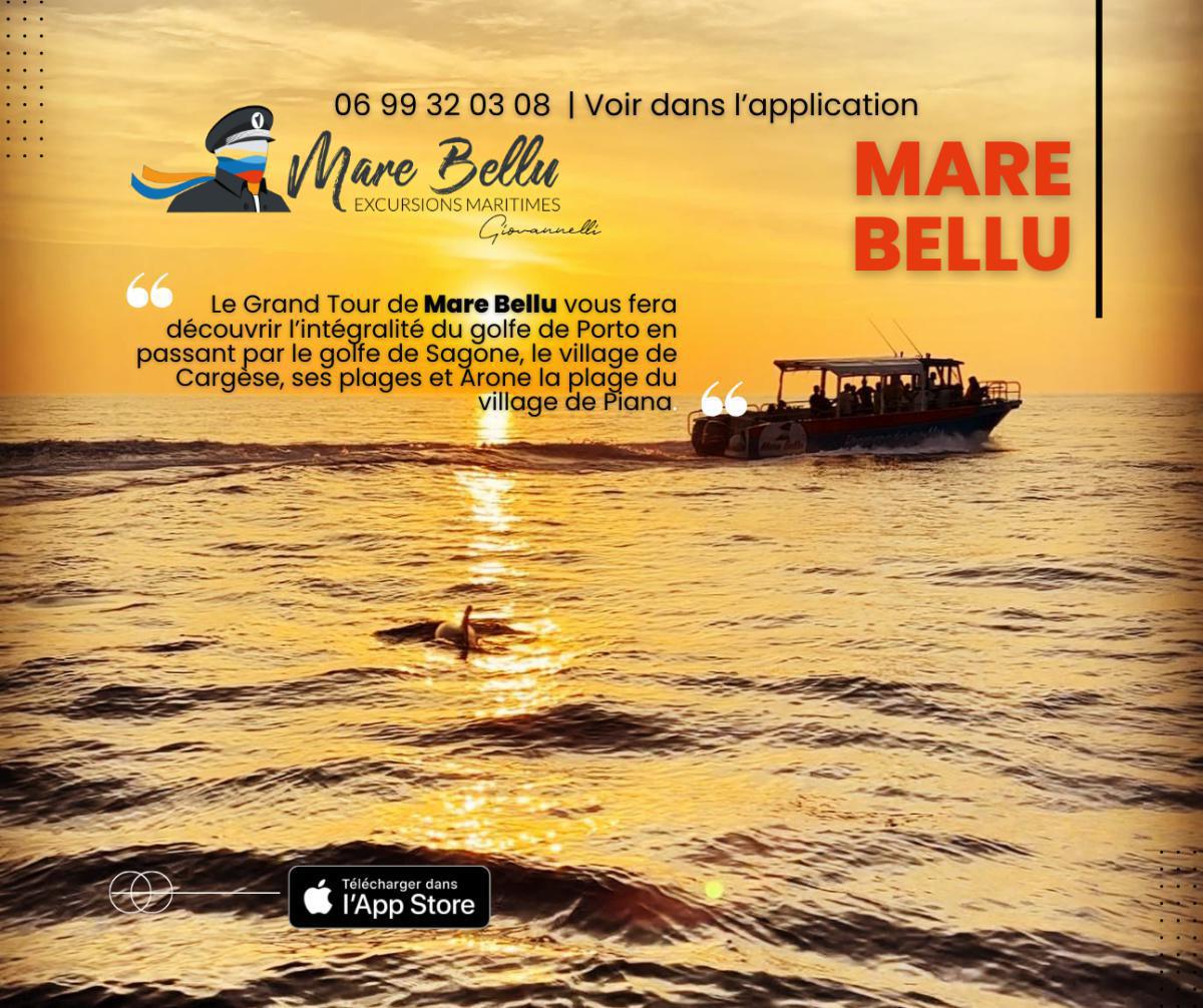 Une promenade en mer, ça vous tente ? Une promenade en mer, ça vous tente ?