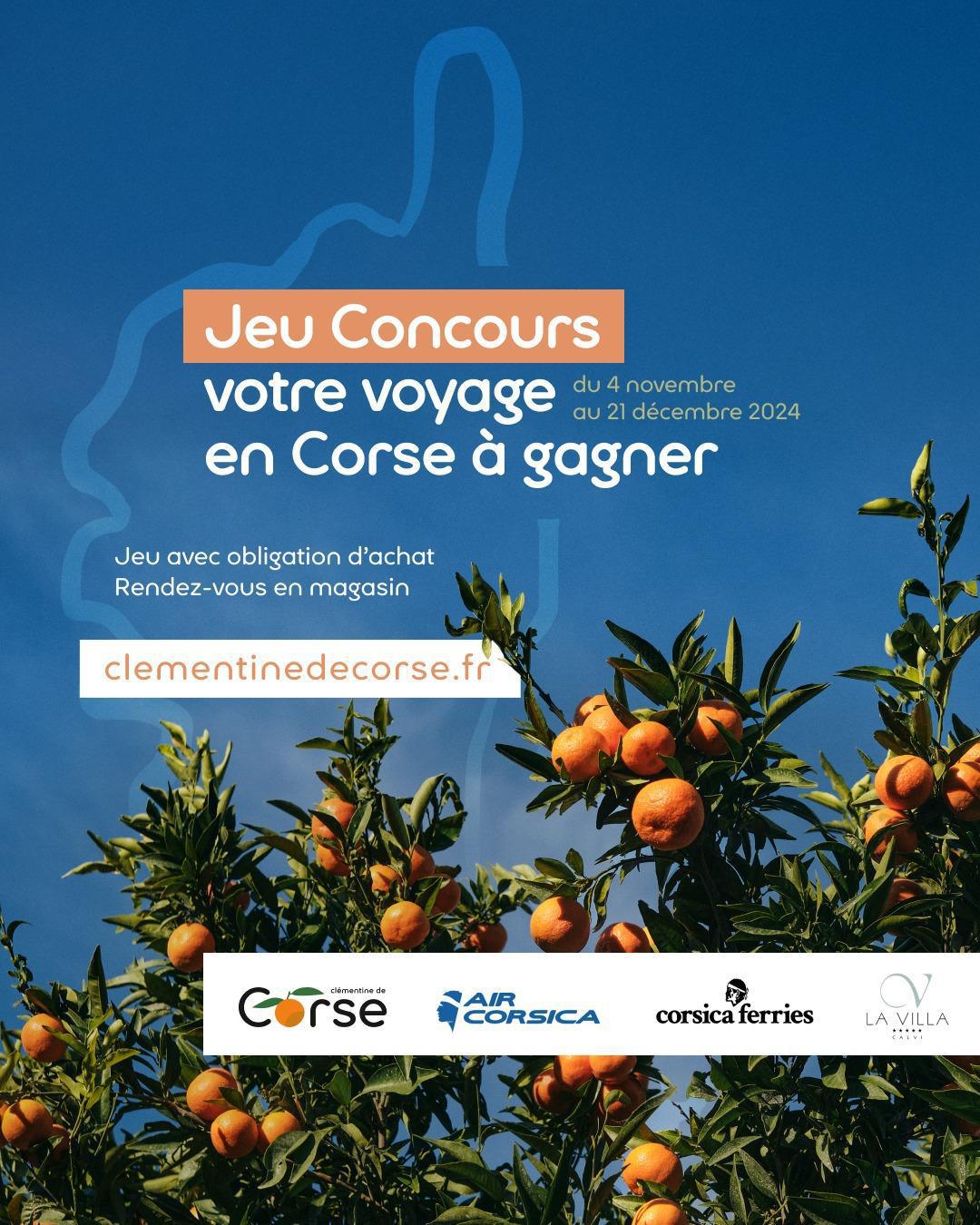Clémentine de Corse | Jeu concours 2024 Clémentine de Corse | Jeu concours 2024
