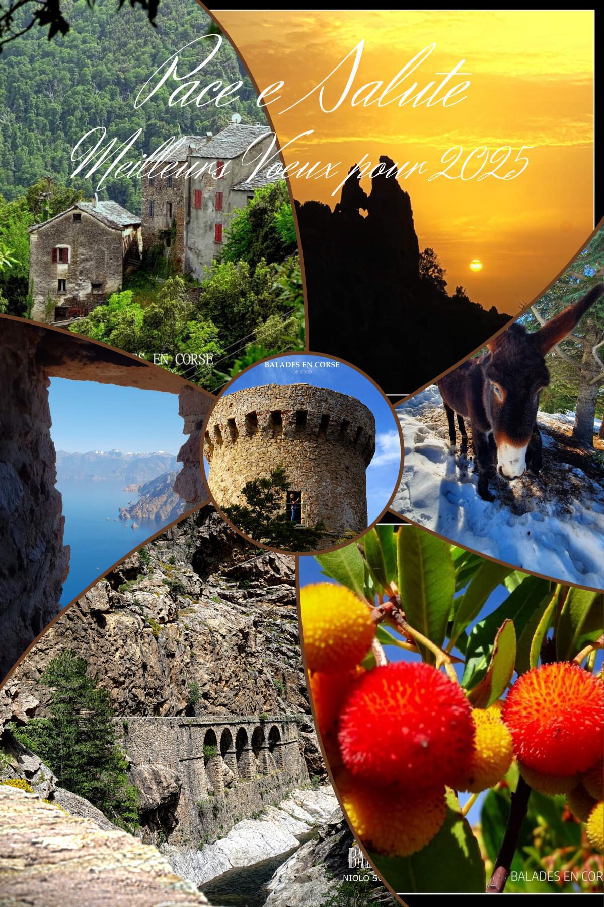 Pace è Salute | Meilleurs Voeux pour 2025 Pace è Salute | Meilleurs Voeux pour 2025