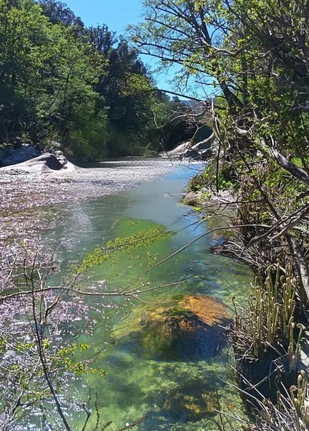 Camping Les Eaux Vives*** Camping Les Eaux Vives***