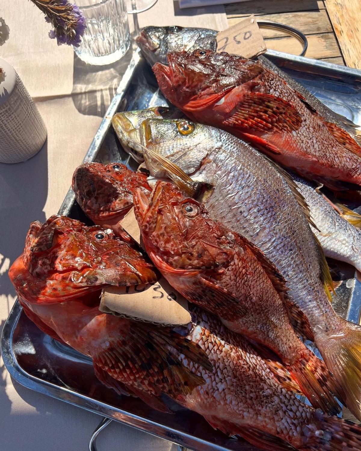 Restaurant U Palmentu