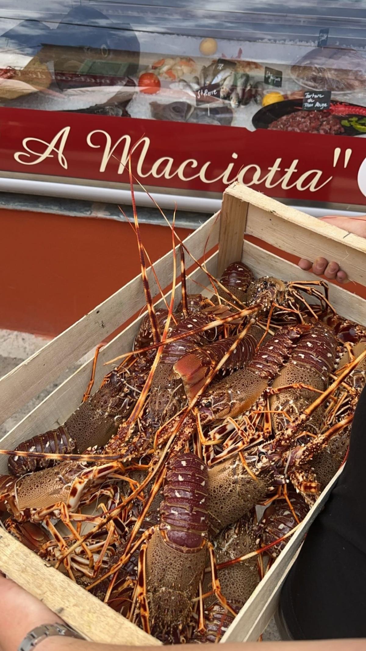  A MACCIOTTA "la maison de la langouste"