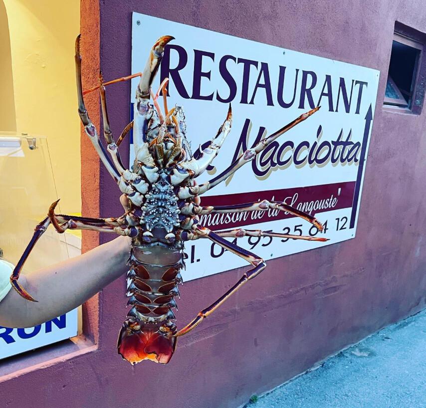 La Maison de la Langouste | Port de Centuri