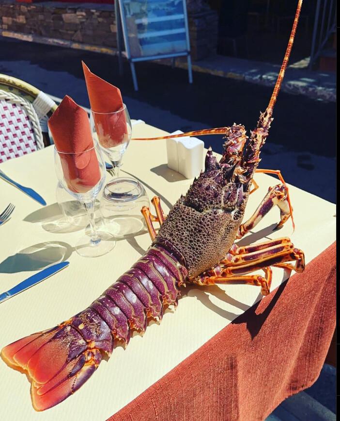 La Maison de la Langouste | Port de Centuri