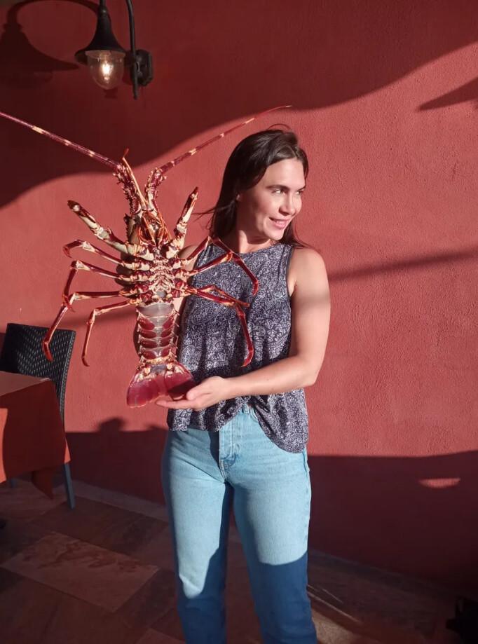 La Maison de la Langouste | Port de Centuri