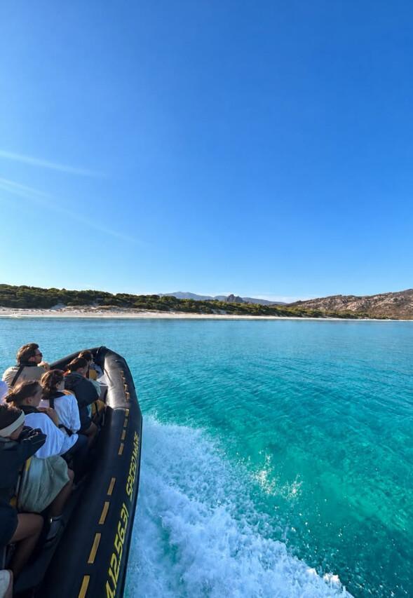 Speed Mare | Saint-Florent Speed Mare | Saint-Florent