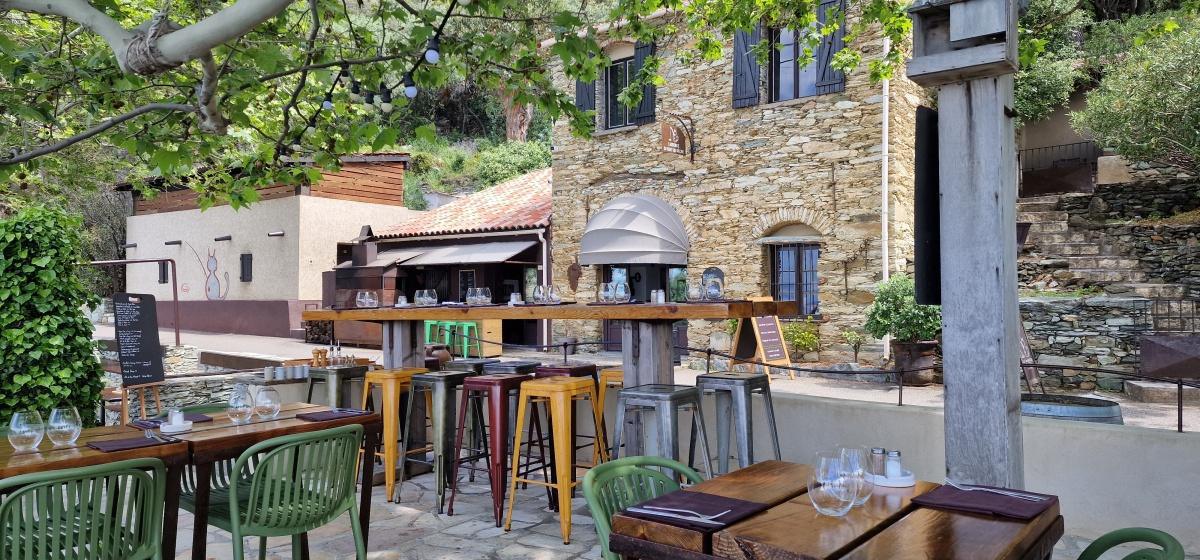 L'Auberge du chat qui pêche | Canari L'Auberge du chat qui pêche | Canari