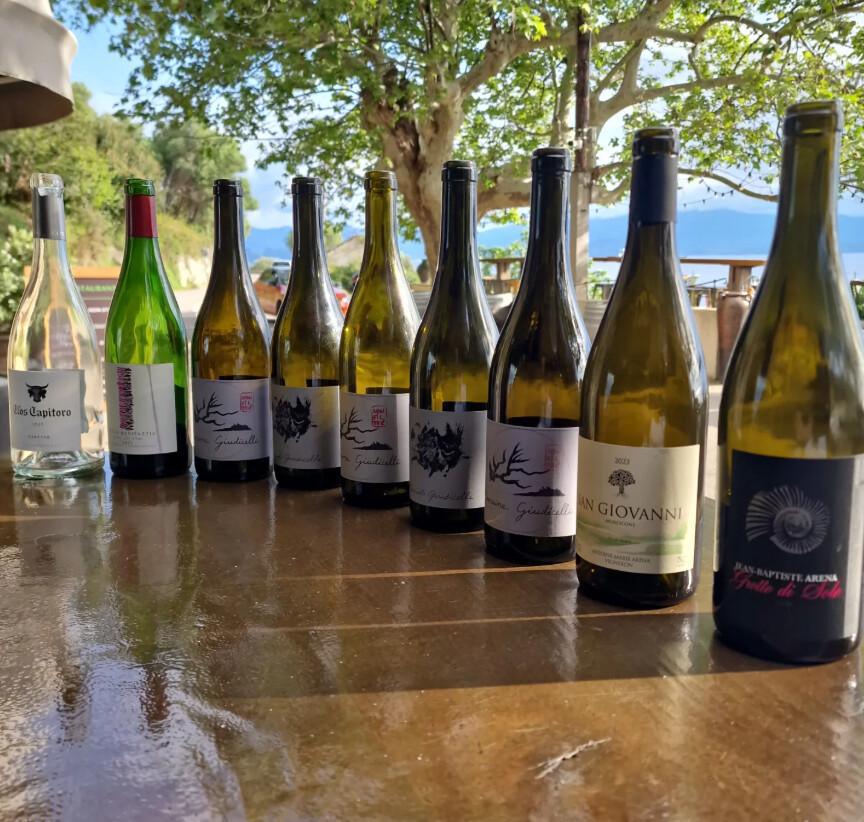 L'Auberge du chat qui pêche | Canari L'Auberge du chat qui pêche | Canari