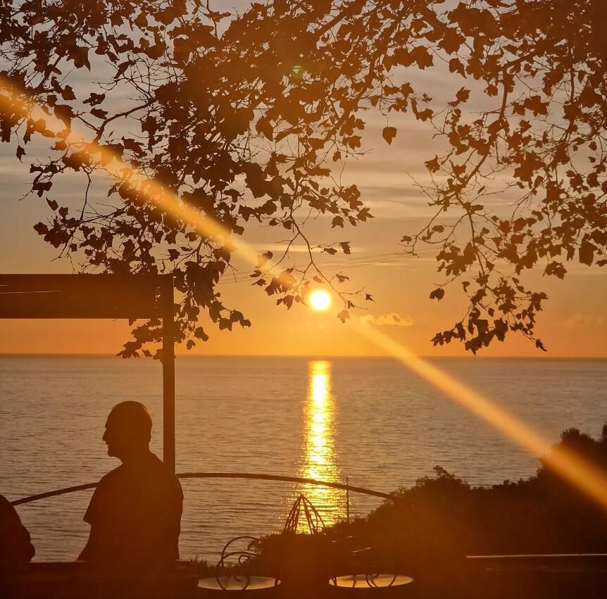 L'Auberge du chat qui pêche | Canari L'Auberge du chat qui pêche | Canari