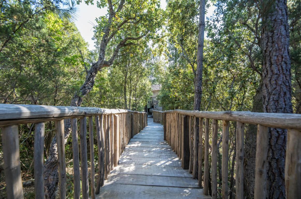 Partenariat engagé | VLC Partenariat engagé | VLC