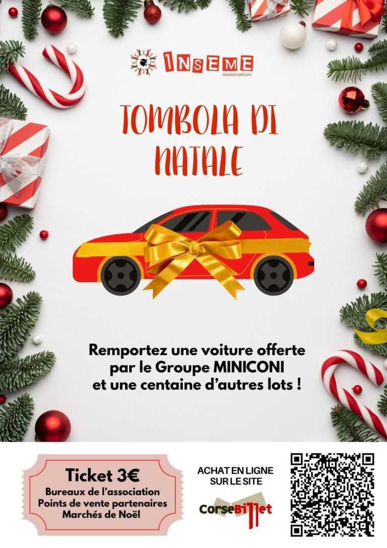 Tombola de Noël 2025 | INSEME Tombola de Noël 2025 | INSEME