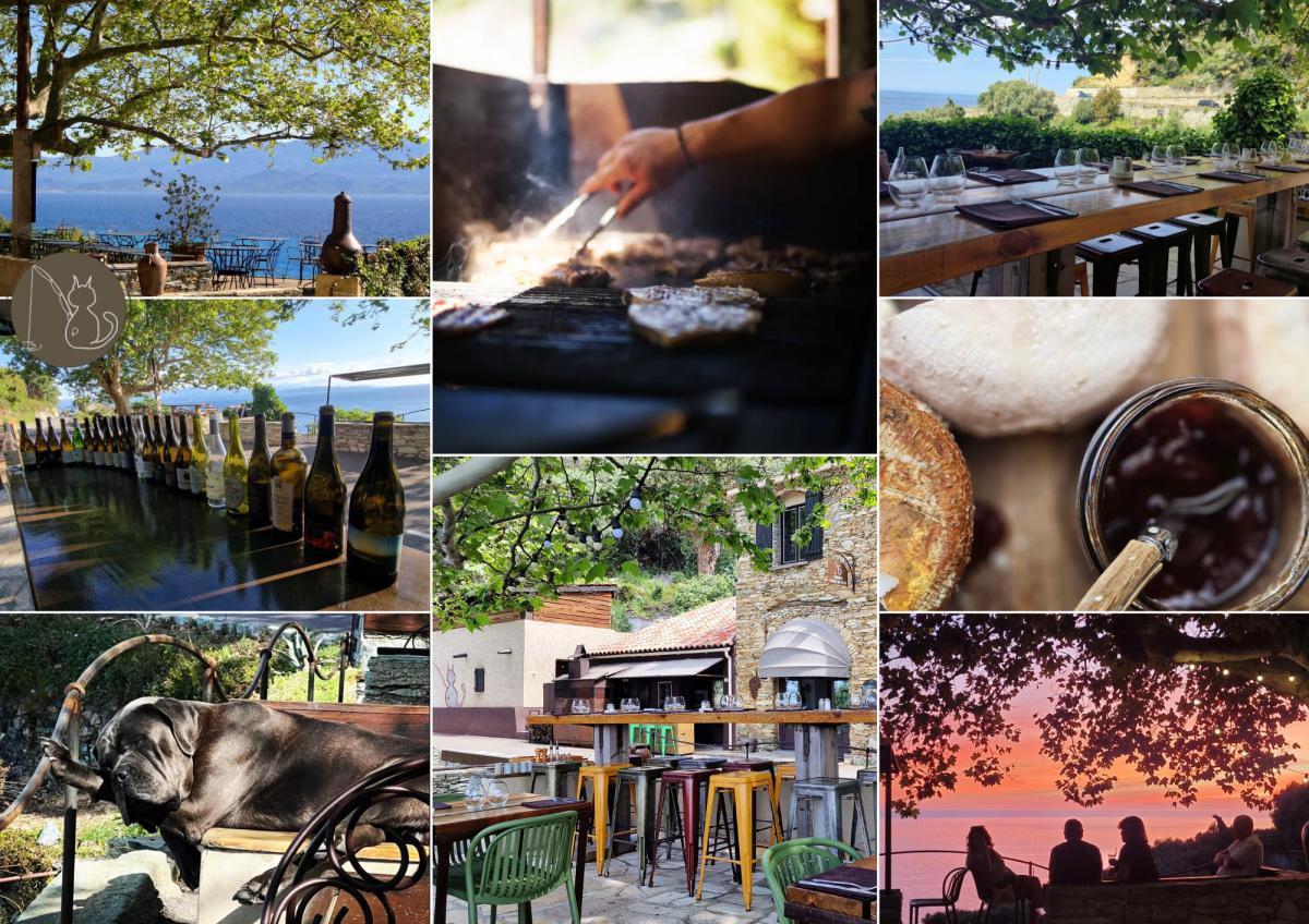 Canari | L'auberge du chat qui pêche Canari | L'auberge du chat qui pêche