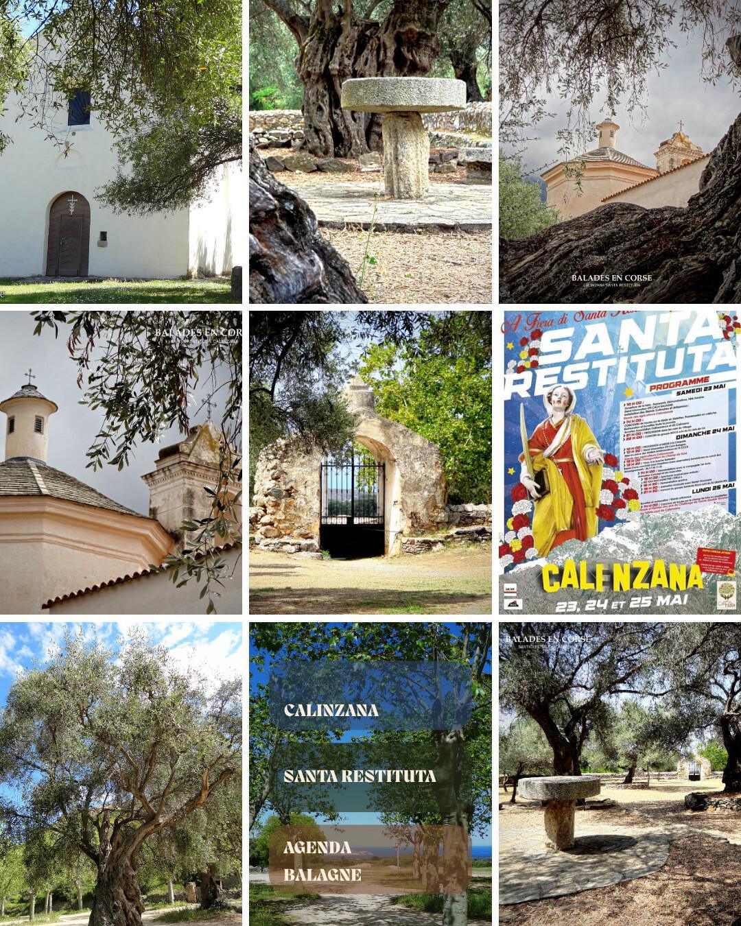 Sainte-Restitude : Calinzana