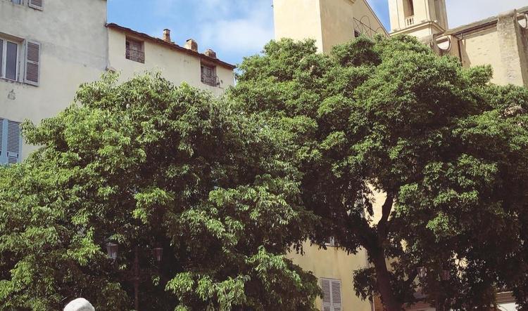 Envoyé depuis l'application iOS