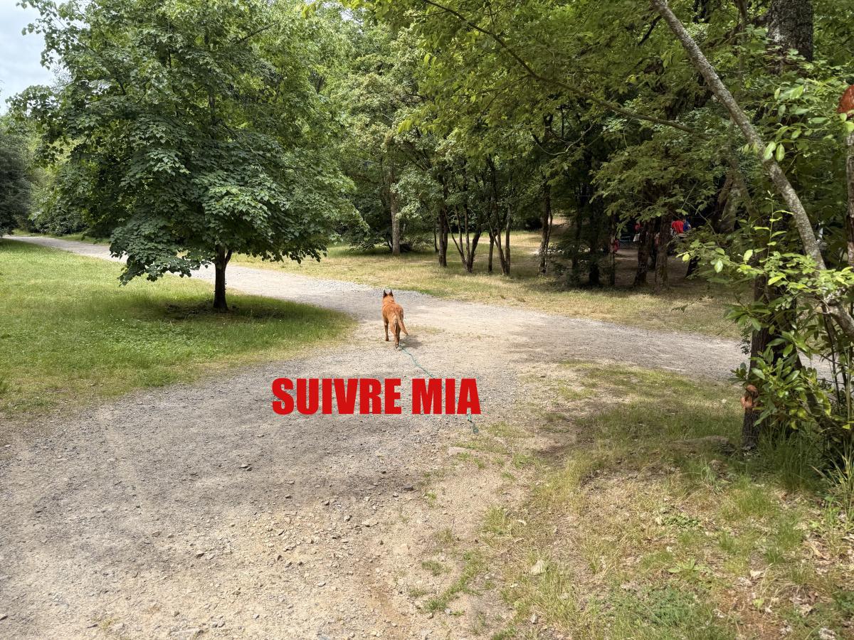 Guide balade 8 juin 2025