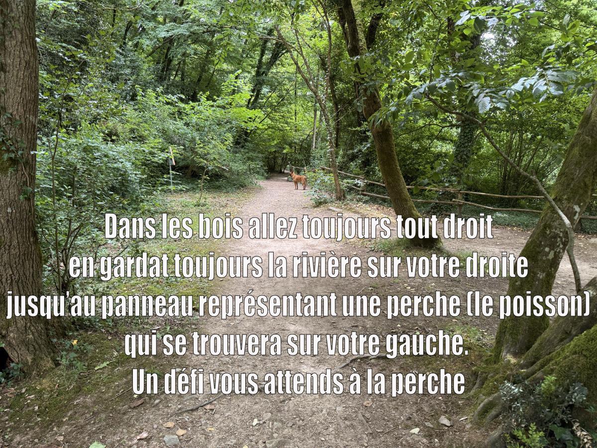 Guide balade 8 juin 2025