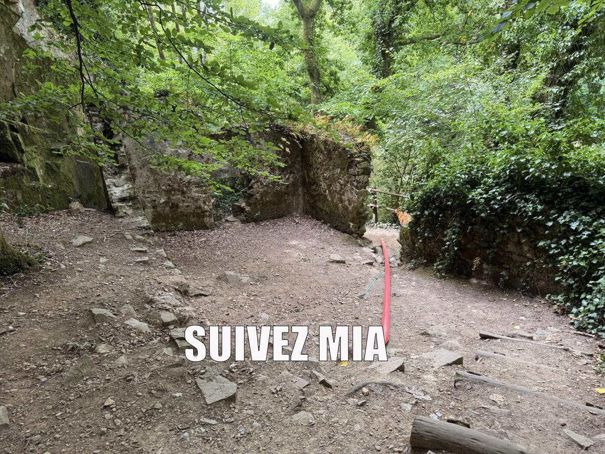 Guide balade 8 juin 2025