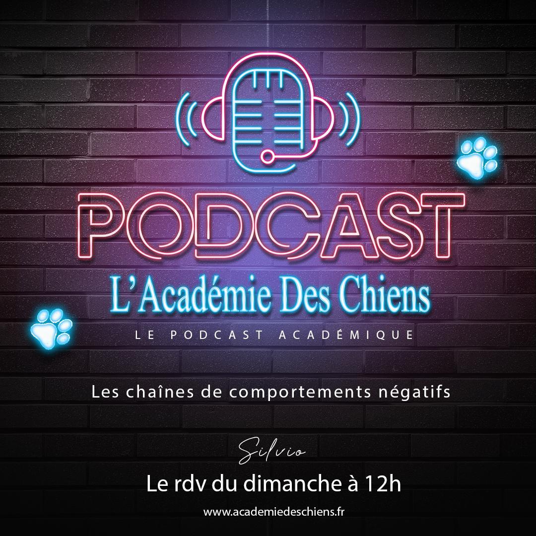 Podcast Académique