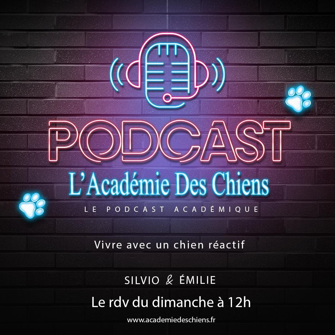 Podcast Académique