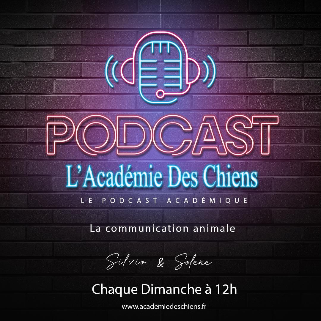 Podcast Académique