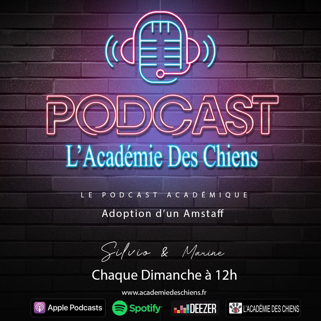 Podcast Académique