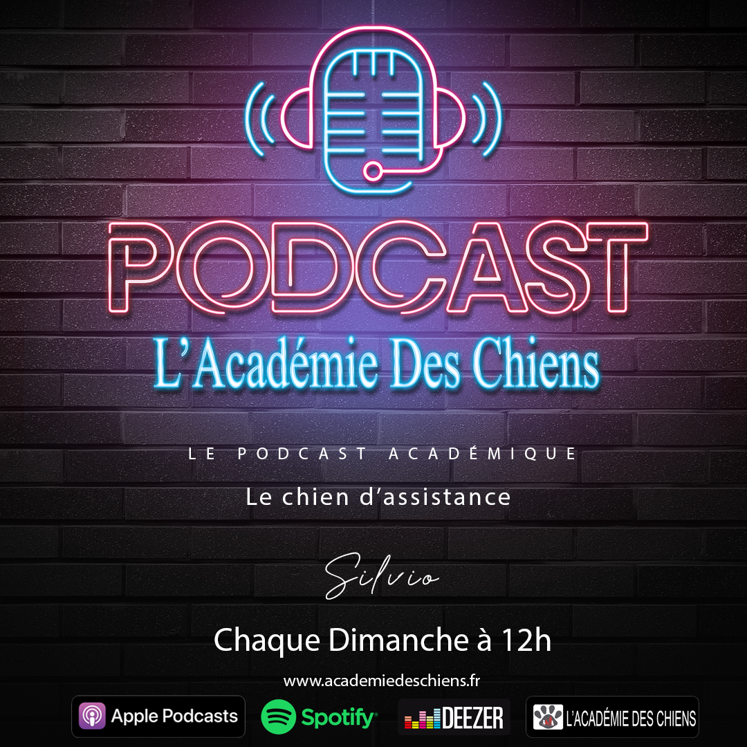 Podcast Académique