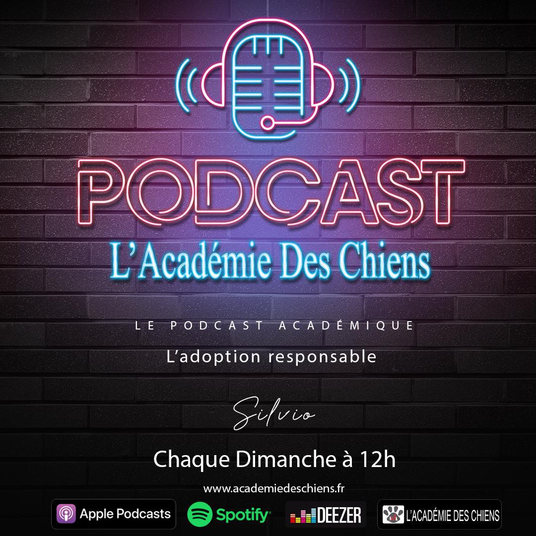 Podcast Académique