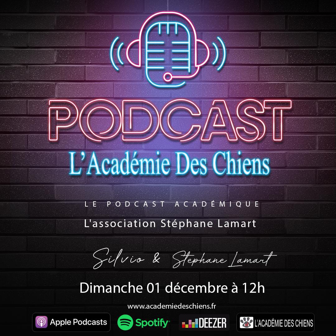 Podcast Académique