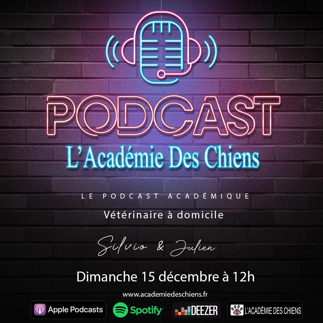 Podcast Académique
