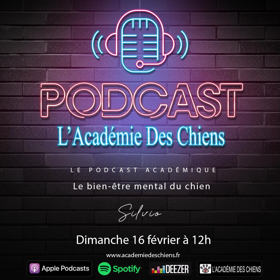 Podcast Académique