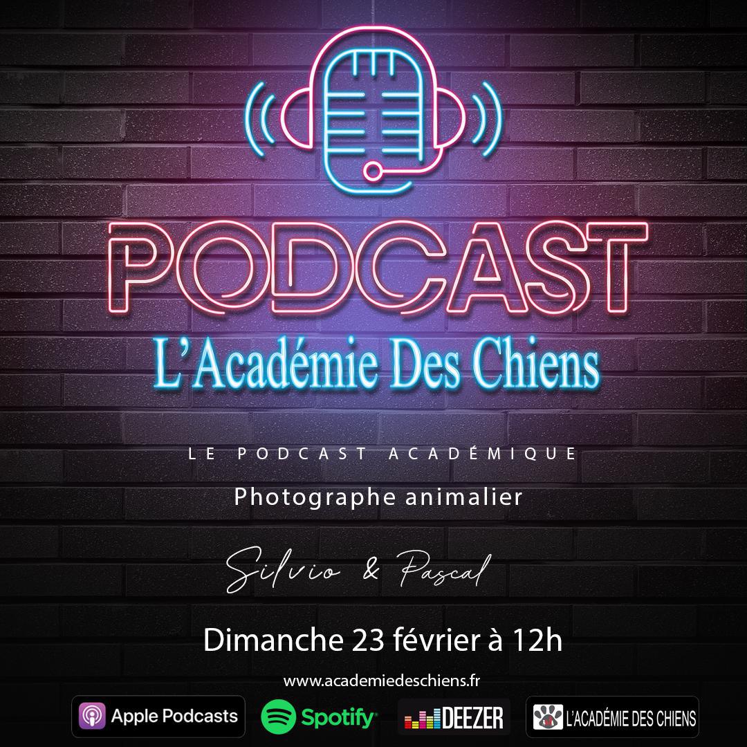 Podcast Académique