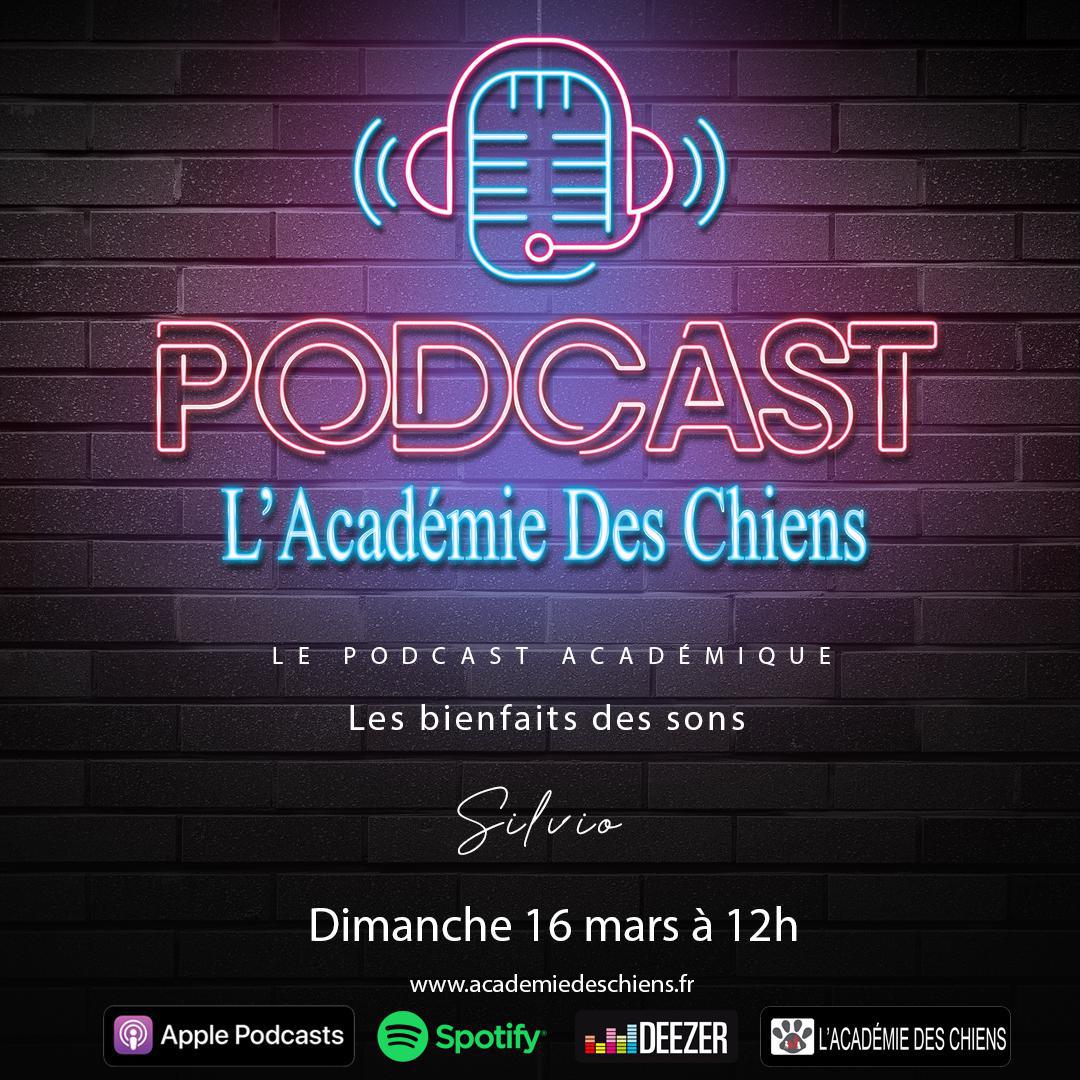 Podcast Académique