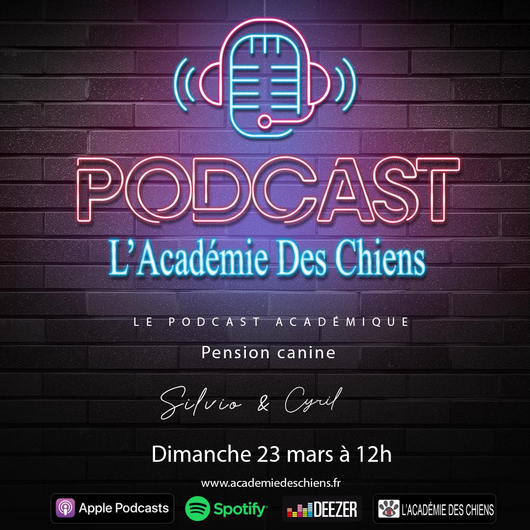 Podcast Académique