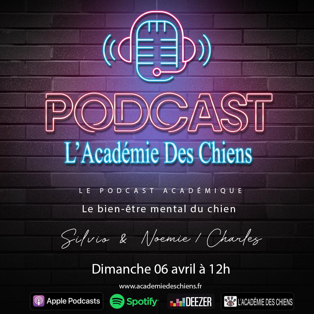 Podcast Académique