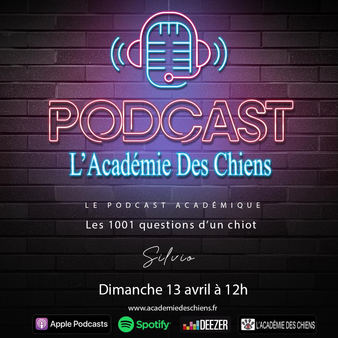 Podcast Académique