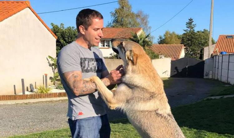 Partir en vacances avec son chien