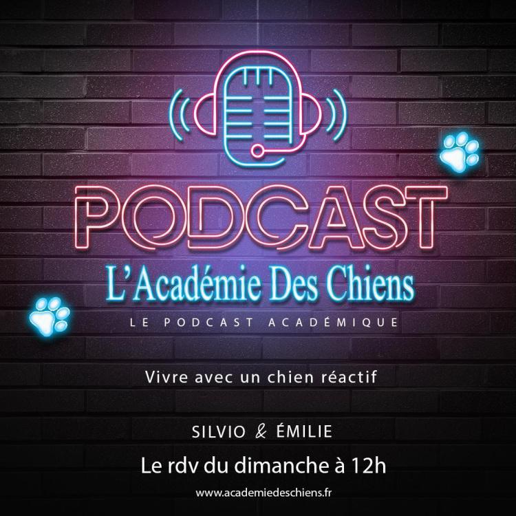Podcast Ep2 : Vivre avec un malinois réactif.